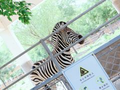 -石家庄市动物园