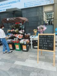 -净漪造型 PURE RIPPLE