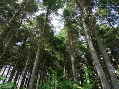 -富田农场