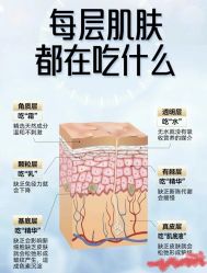 点击看大图 -玛莲朵·海菲秀冰珀科