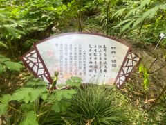 -秋霞圃