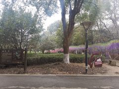 -宝岩生态观光园