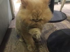 -小时光咖啡馆(开森度假森林店)