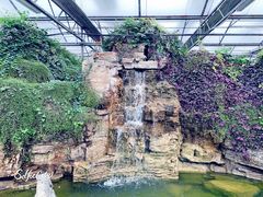 -兰陵国家农业公园