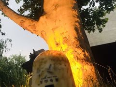 嘿嘿茶-茶肆(袁家村店)