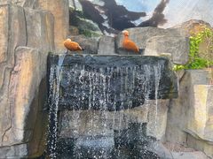 -上海野生动物园