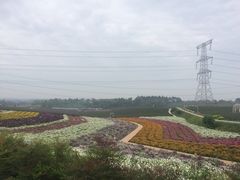 -紫颐香薰山谷景区