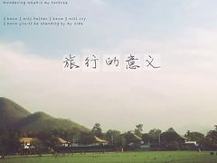 -大树秋千
