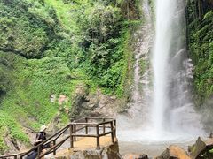 -莫里热带雨林景区