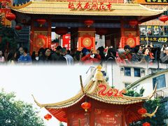 -越秀西湖花市(广州城市广场花卉店)