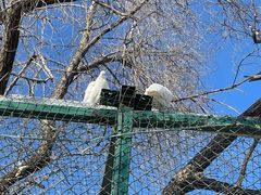 -北京鹿世界主题园