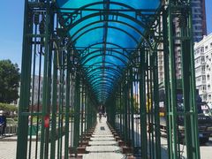 -圣·阿列克谢耶夫教堂