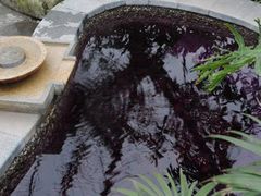 -融汇温泉