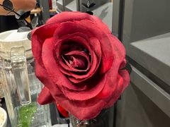 -红东阁东北菜烤肉酒馆(CROSS万象汇店)