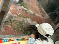 -深圳野生动物园