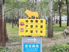 -秦皇岛野生动物园