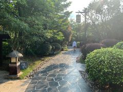 -清远熹乐谷温泉度假酒店