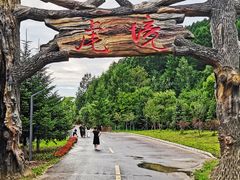 -横道河子东北虎林园