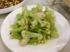 有机菜花拌贝丁-渔娘渔家丹东海鲜(东直门店)