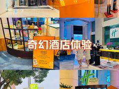 -上海浦东康桥绿地假日酒店