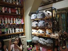 -猫咪博物馆(顶澳仔猫街店)