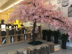 -汤里来温泉