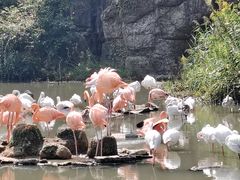 -宁波野生动物园