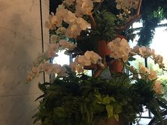 -上海虹桥西郊假日酒店