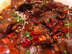 香辣美容蹄-雲蜀龙阁·金牌水煮鱼(方庄店)