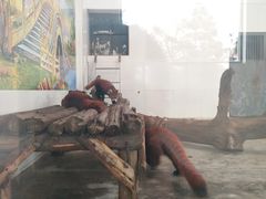 -西安秦岭野生动物园