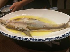 鸡汁长江白鱼-南京大牌档(济南万象城店)