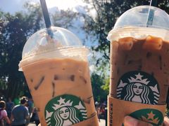 -奥兰多迪士尼动物王国乐园