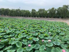 -北京天湖会议中心