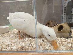 -狗道宠物(常熟印象城店)