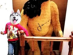 -济州岛泰迪熊博物馆