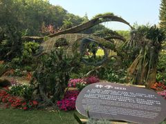 -深圳仙湖植物园