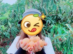 -桃源山庄·水蜜桃采摘·柴火鸡·烧烤团建(龙泉山店)