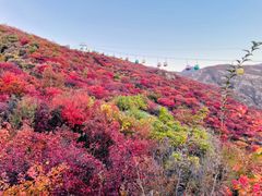 -周口店坡峰岭风景区