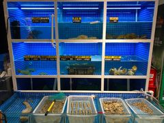 水产区-金龙·打边炉(南京西路店)