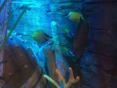 -沈阳海洋探索中心