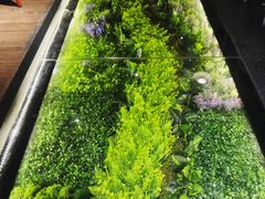 -炭舍干锅·烤鱼(扬名广场店)