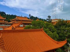 -深圳仙湖植物园