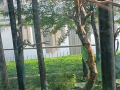-武汉动物园