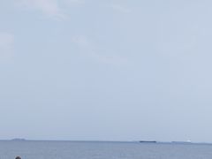 -上海吴淞炮台湾国家湿地公园