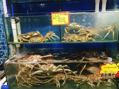 水产区-蚝专家(北滘店)