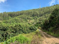 -水濂山森林公园