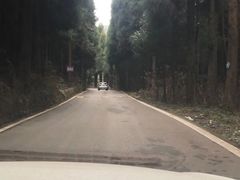 -武陵山森林公园