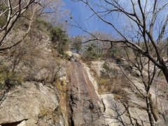 -王顺山国家森林公园