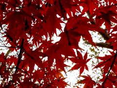 -淮国旧H22·中古店