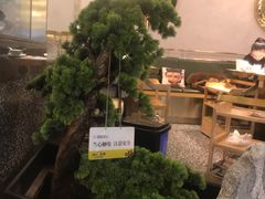 -洪氏嗨捞·猪肚鸡火锅(阳光天地店)
